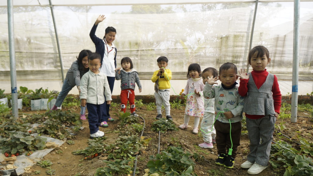 Slideshow Website (10)